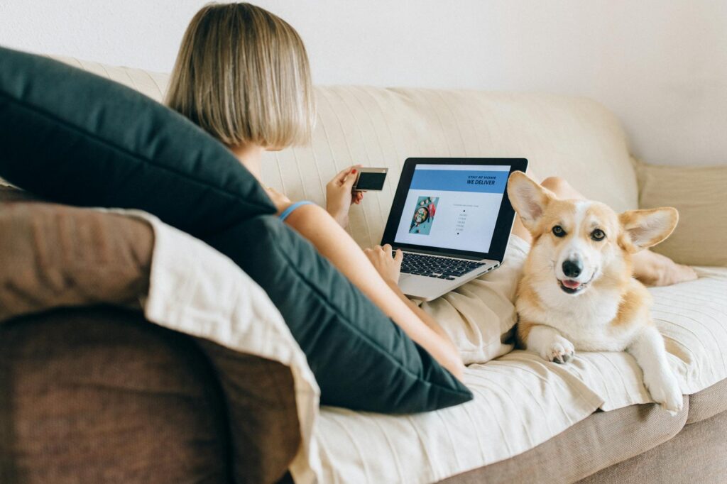 Guía de seguros de mascotas en banca digital 1 pexels photo 8939517